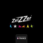logo ZviZZer France