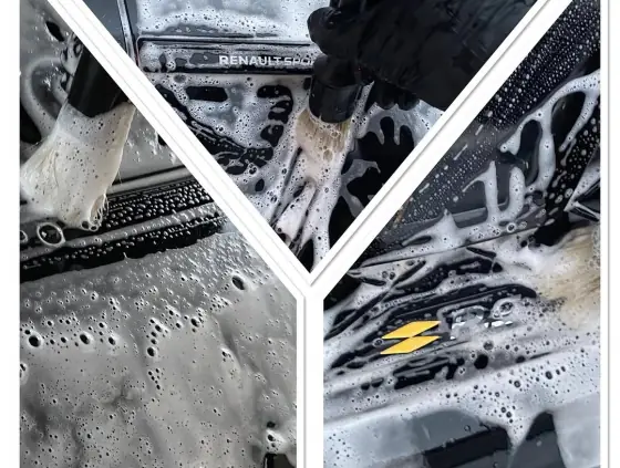 Renault Mégane R.S. — photo 2 de la réalisation
