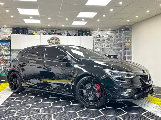Renault Mégane R.S. — photo 8 de la réalisation